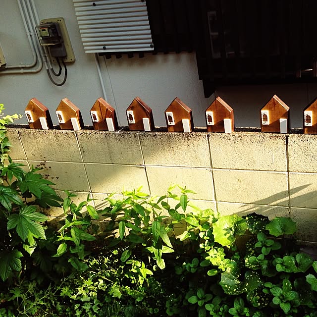 woodycuuさんの実例写真