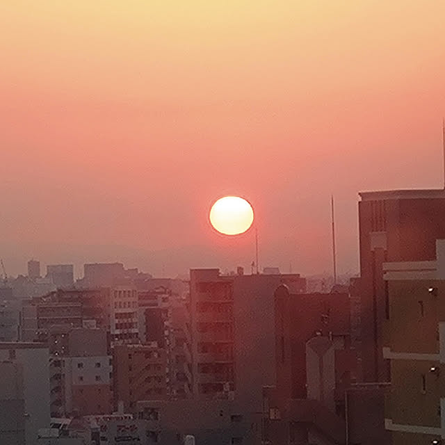 kakkaさんの実例写真
