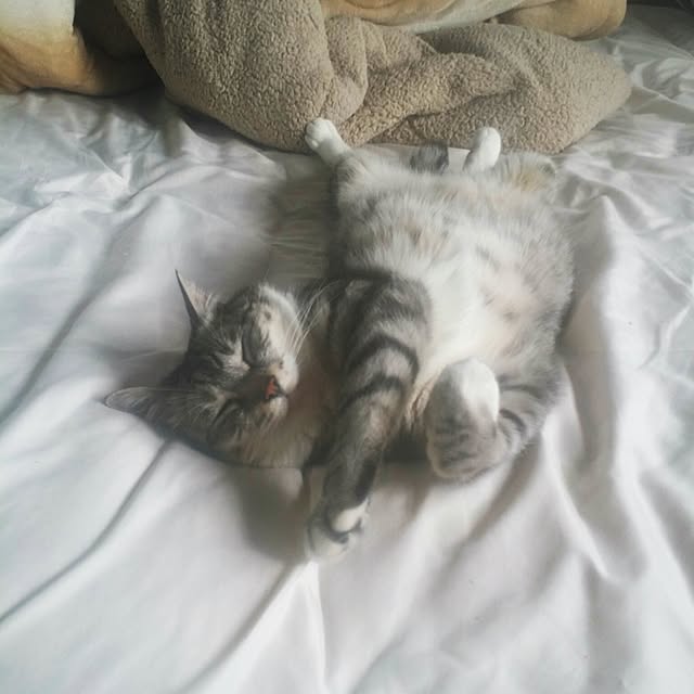 annさんの実例写真