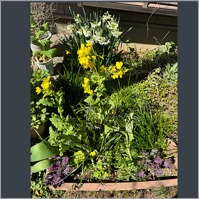 kimiさんの実例写真