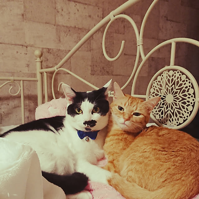 asuminさんの実例写真
