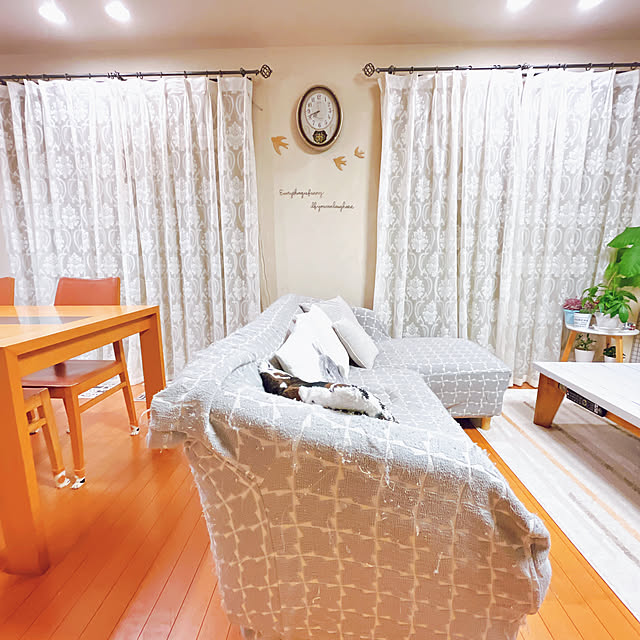moolさんの部屋