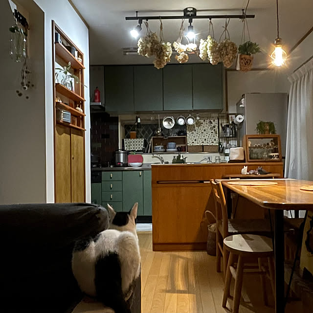 nobikoさんの部屋