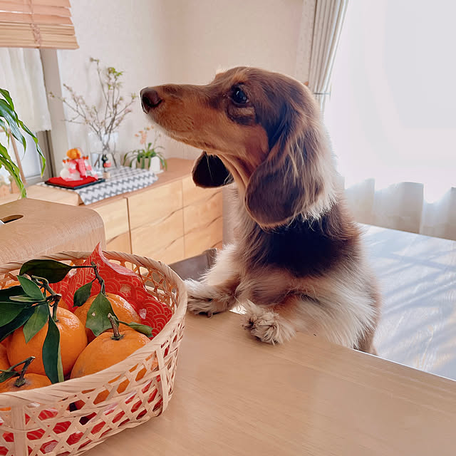 rinoさんの実例写真