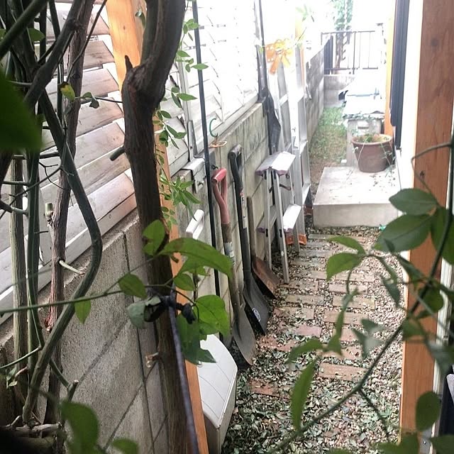 mori_6_12さんの部屋