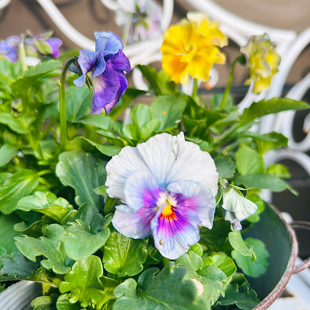 sunabaさんの部屋