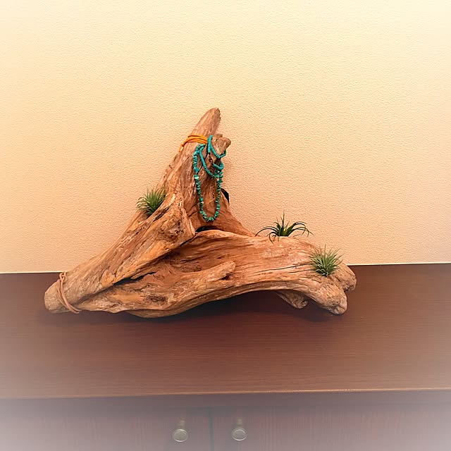 G.E.Nさんの実例写真