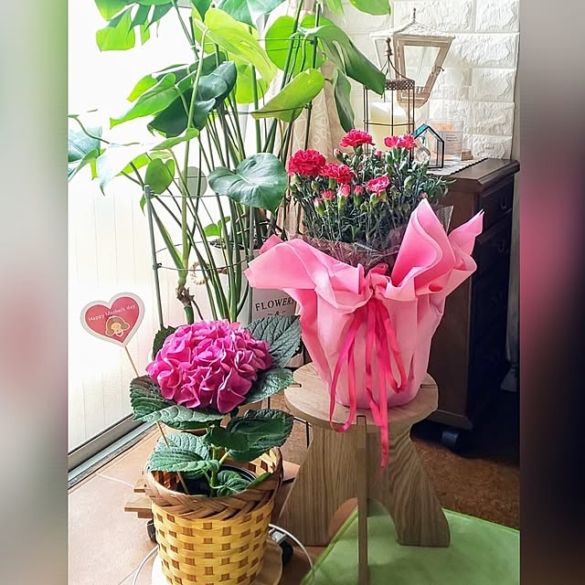 hapiさんの部屋