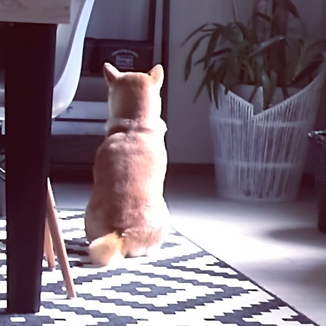 kさんの実例写真