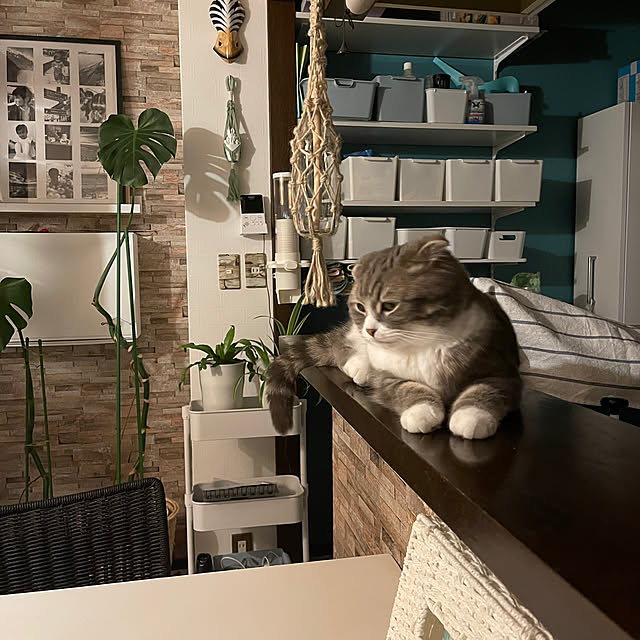 mieさんの実例写真