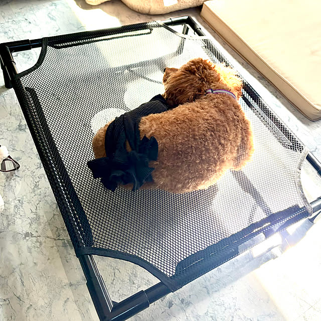 MOMOMAMAさんの部屋