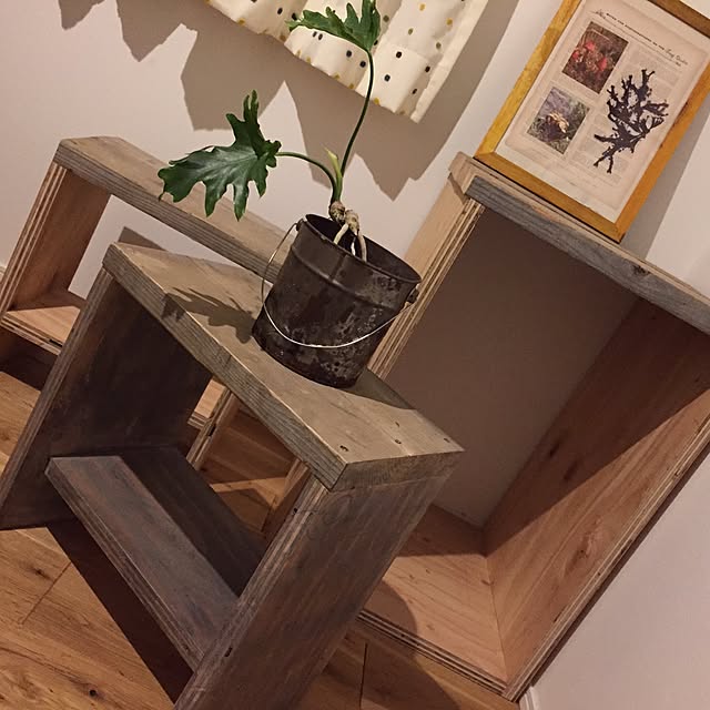 tukitoameさんの実例写真
