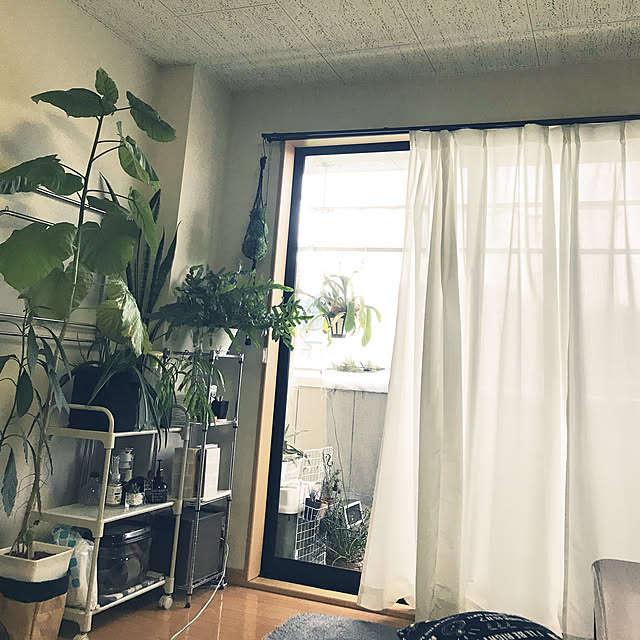 powakyonさんの実例写真