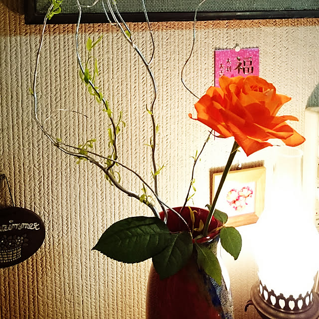 cha-baさんの実例写真