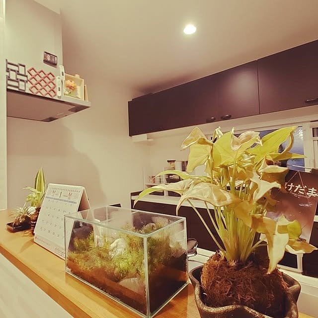 RiRiKAさんの実例写真