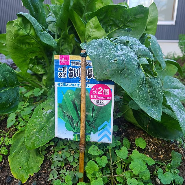 Rubiconさんの部屋