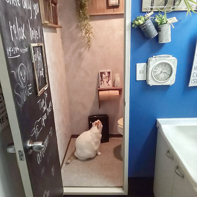 ugさんの実例写真