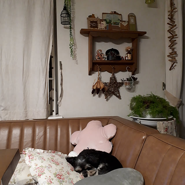 AcchanSaysさんの実例写真