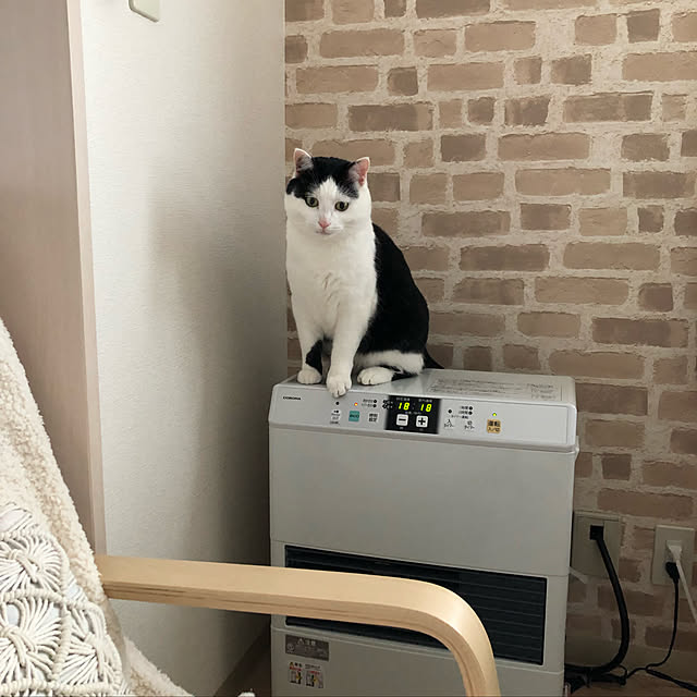 k.Iさんの実例写真