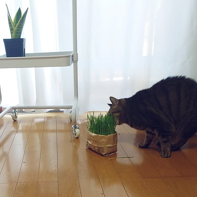 nachiさんの部屋