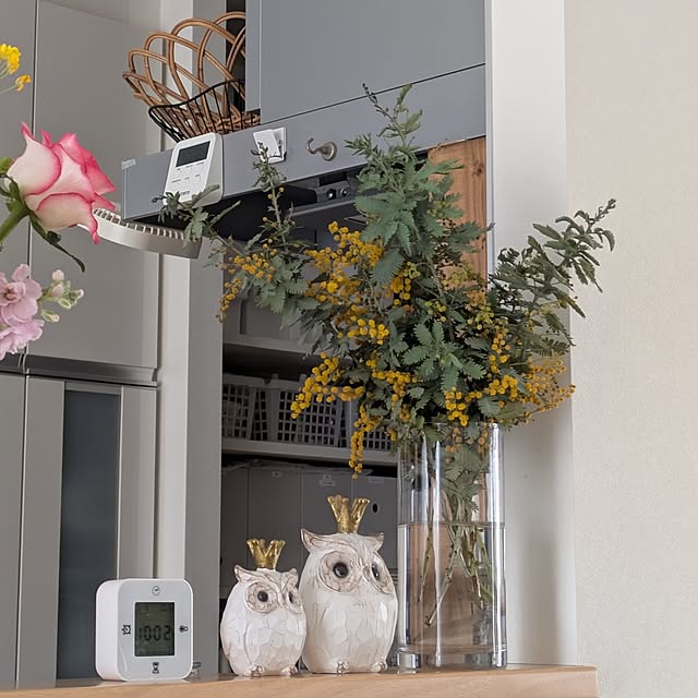 naoさんの実例写真