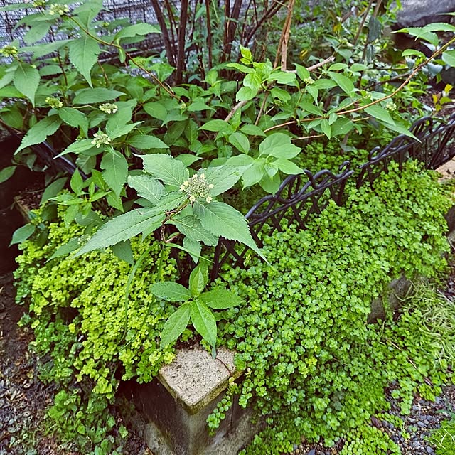 mocomocoさんの部屋