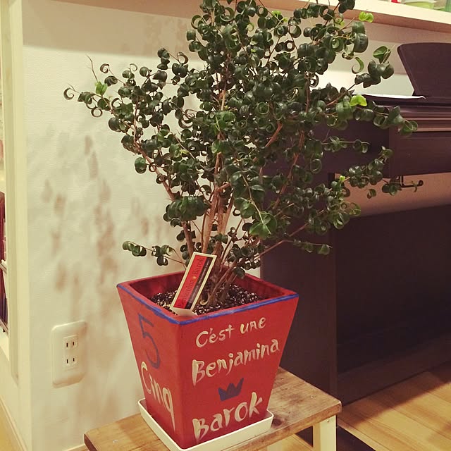 mikicchuさんの実例写真