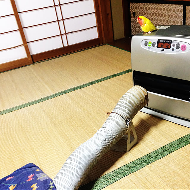 aoinokimiさんの実例写真