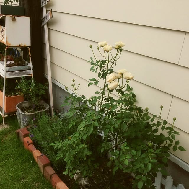 Nanaさんの実例写真