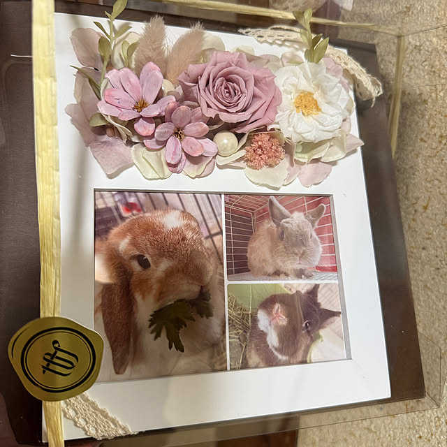 prelumoさんの実例写真