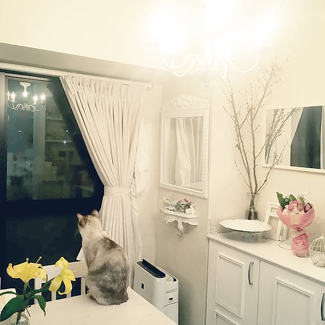 noelさんの実例写真