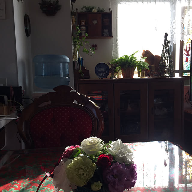sleptcatさんの実例写真