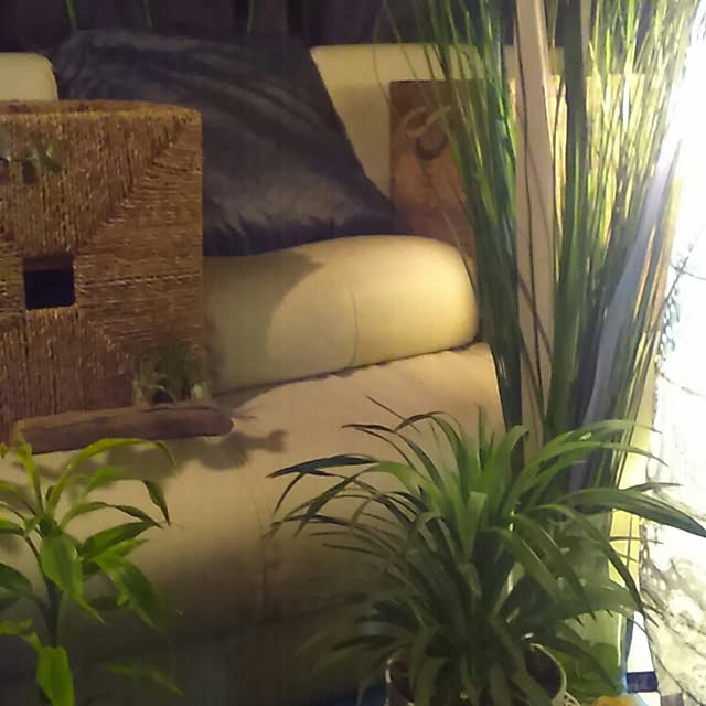 Yusukeさんの実例写真