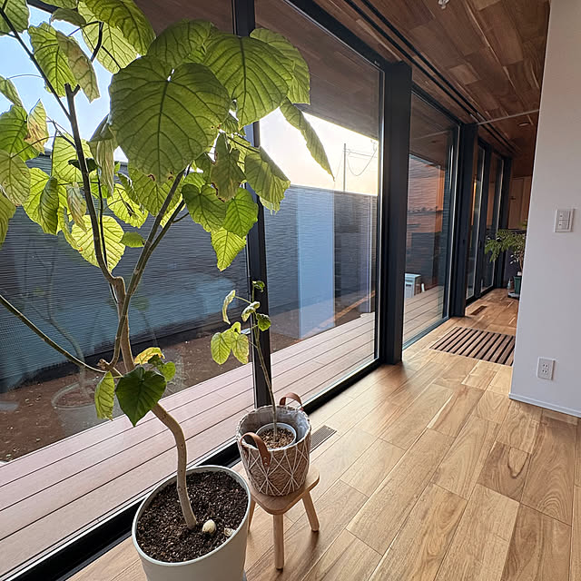 mormiさんの実例写真