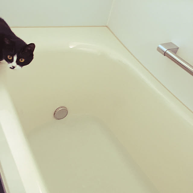 nekoさんの実例写真