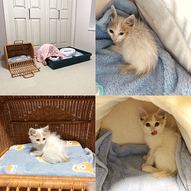 yuchiさんの実例写真