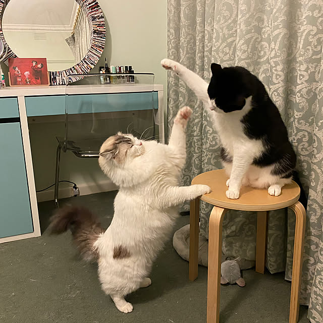 joyful77さんの実例写真