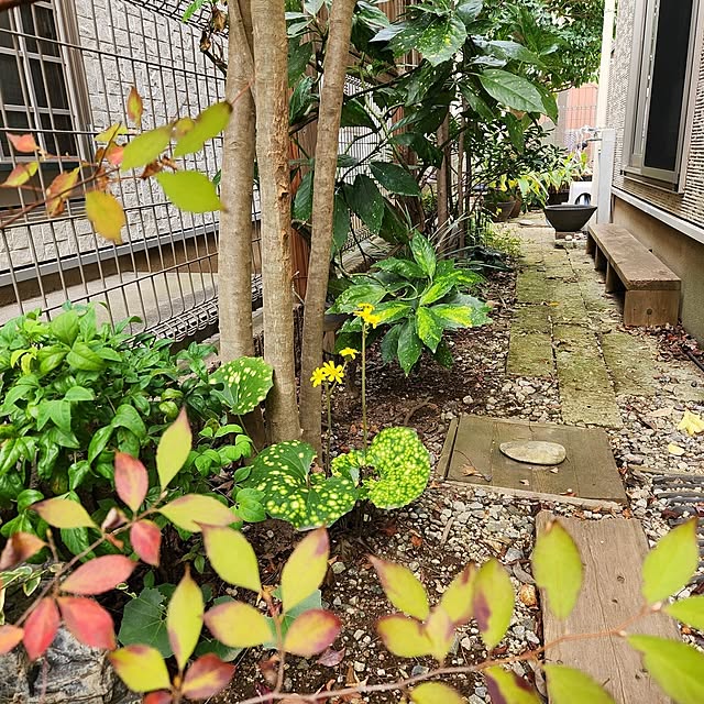 yasu10さんの部屋