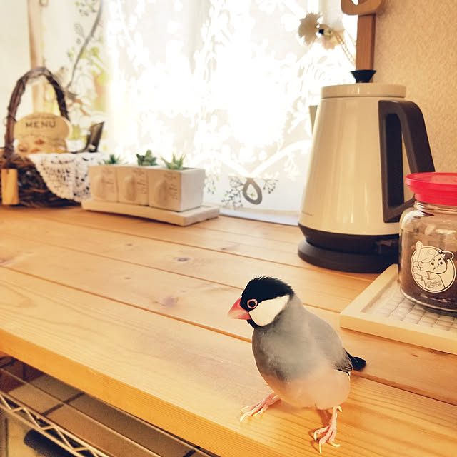 miiさんの実例写真