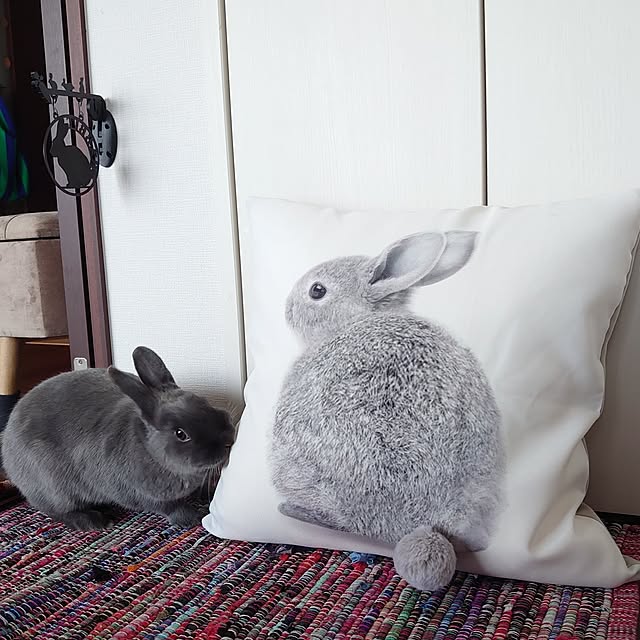kirariさんの部屋