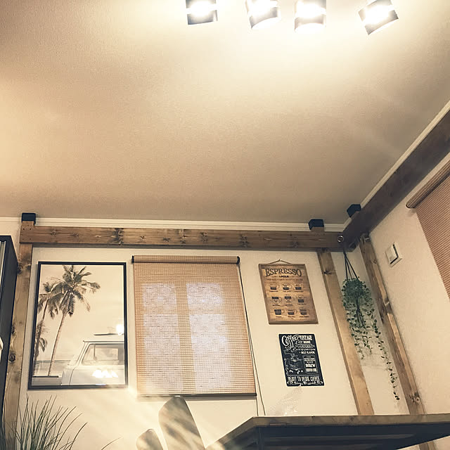 観葉植物/DIY/リビングのインテリア実例 - 2019-07-21 18:37:30