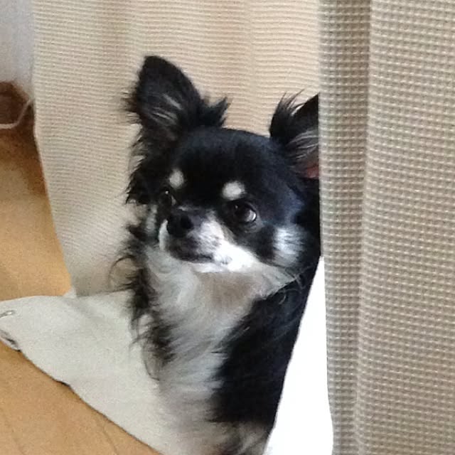 Drivejoyさんの実例写真