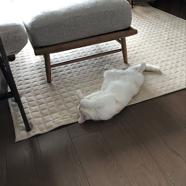 Matsumaruさんの実例写真