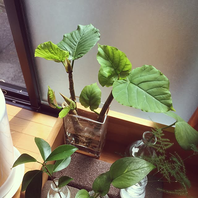 yukaさんの実例写真