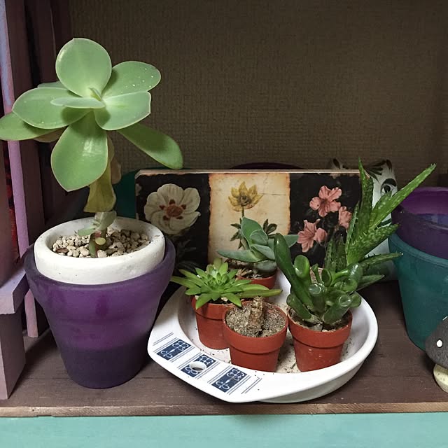 Norikoさんの実例写真