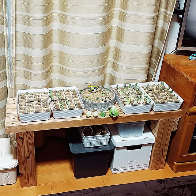 soyokoさんの実例写真