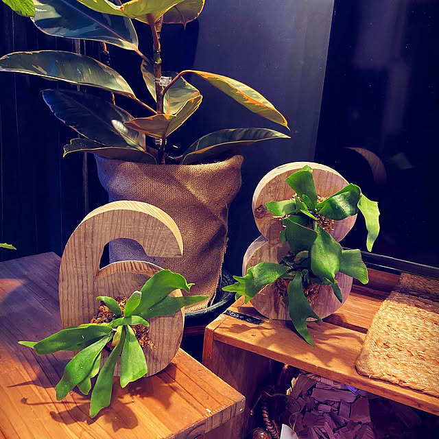 s.p.sunaoさんの部屋