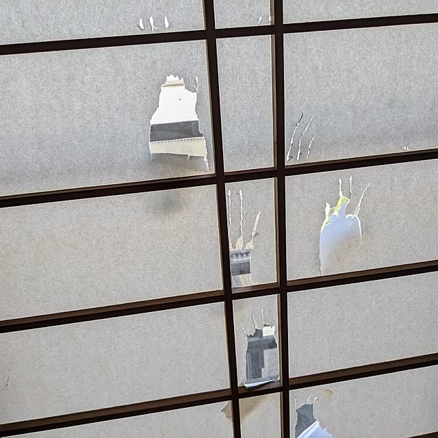asaさんの実例写真