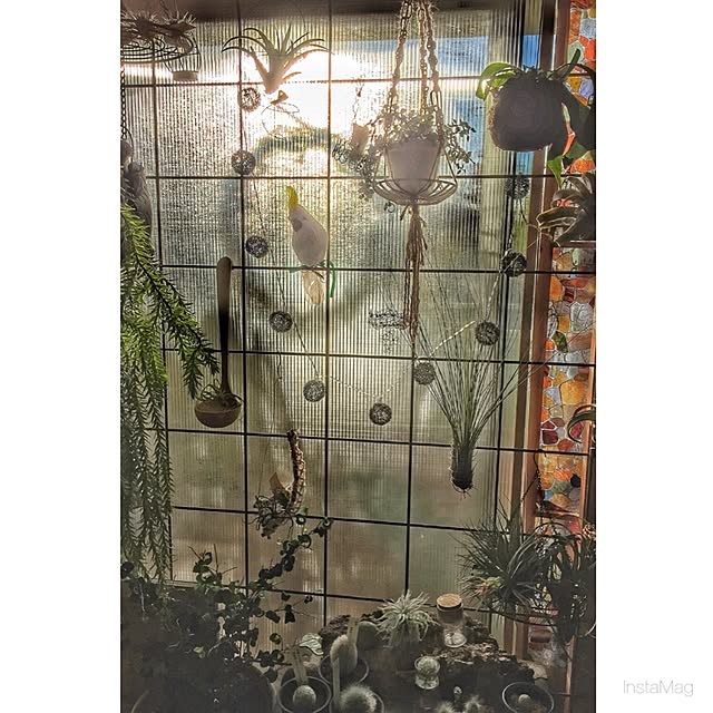 kazaruyo-niさんの実例写真