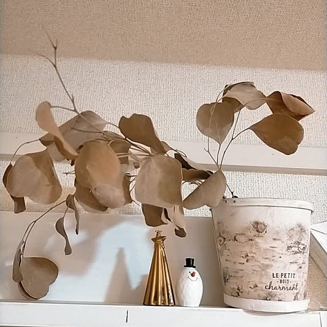 ukiukiさんの実例写真